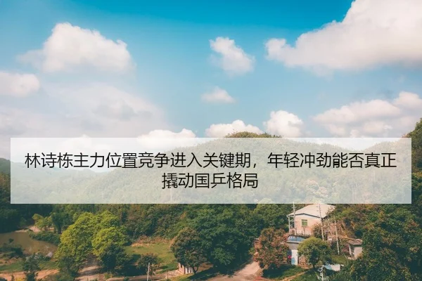 林诗栋主力位置竞争进入关键期，年轻冲劲能否真正撬动国乒格局